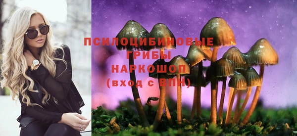 ешки Аркадак