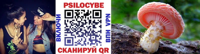 ссылка на мегу зеркало  Каменск-Шахтинский  Галлюциногенные грибы Cubensis 